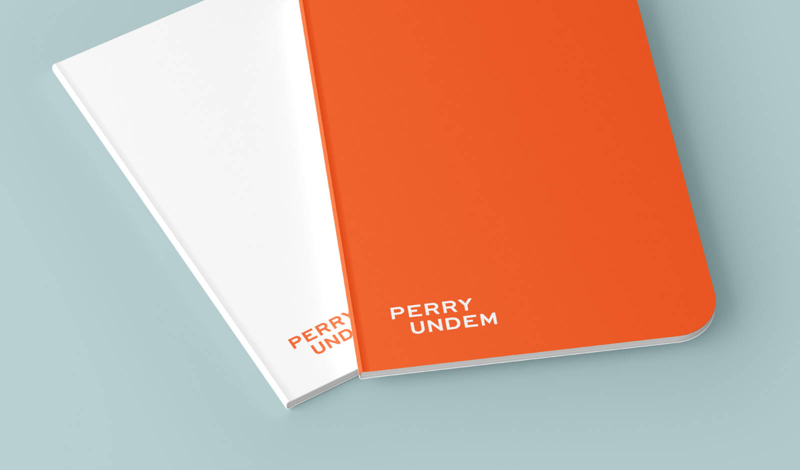 PerryUndem logo and brand design